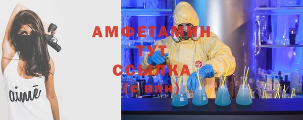 mdpv Бородино