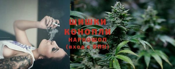 mdpv Бородино