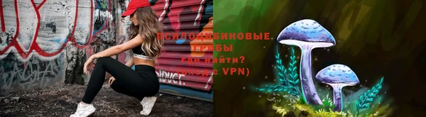 амф Бронницы