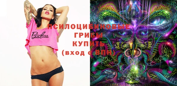 mdpv Бородино