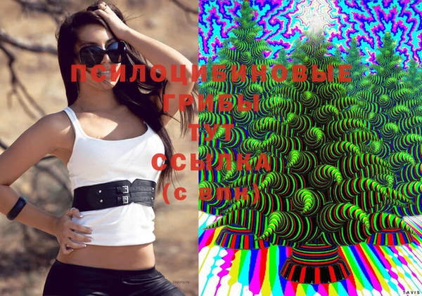 амф Бронницы