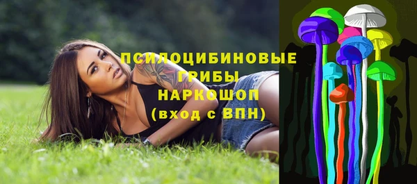 амф Бронницы
