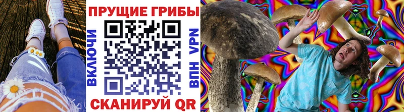 Купить закладки  Вятские Поляны  Галлюциногенные грибы Psilocybine cubensis 